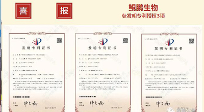 云顶yd222备用线路检测生物 | 核心平台技术获得中国发明专利